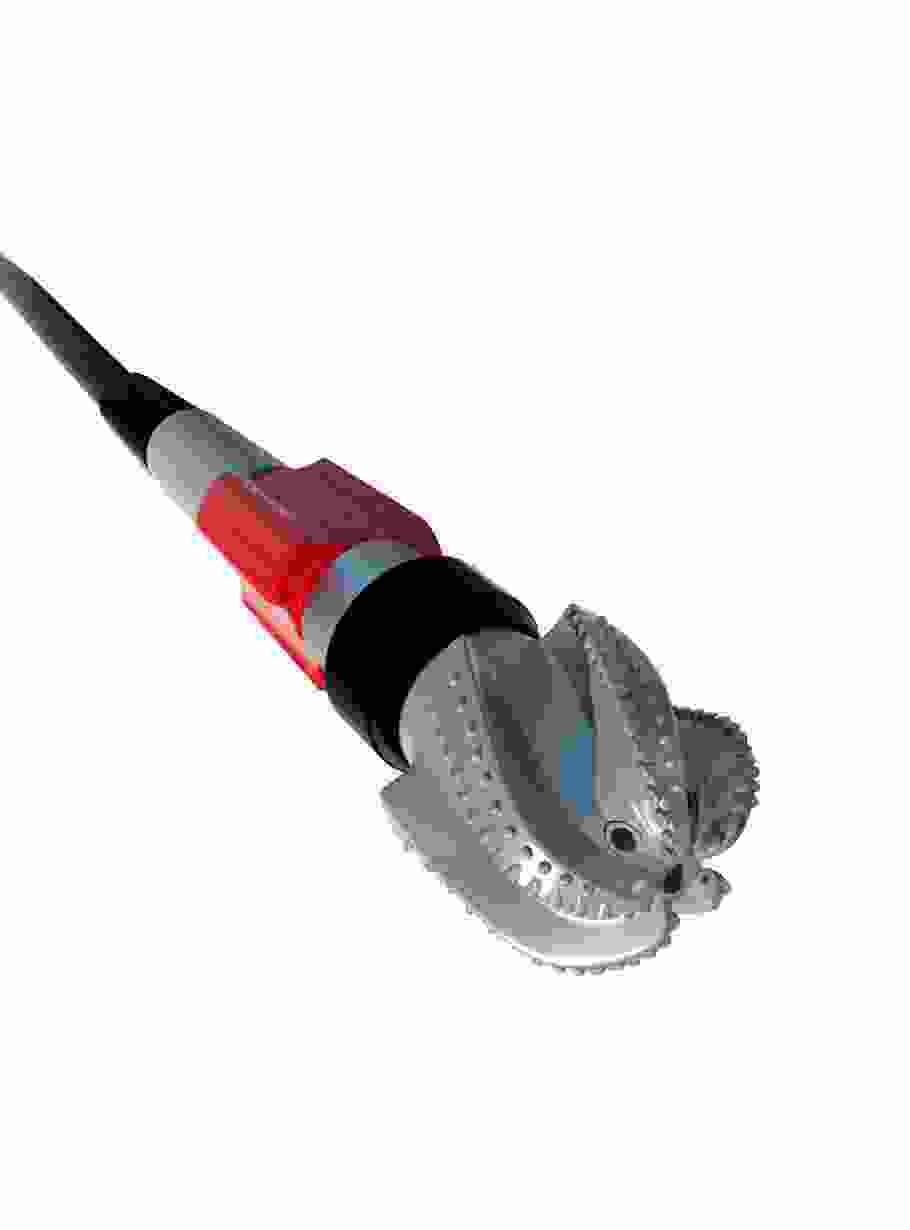 Shop Primary Image Shop Primary Image